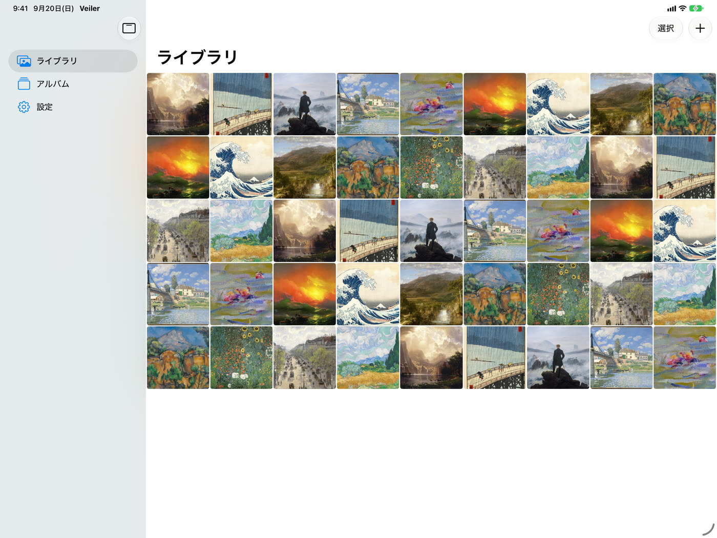 An iPad in landscape: a sidebar on the left, the library of stored photos on the right